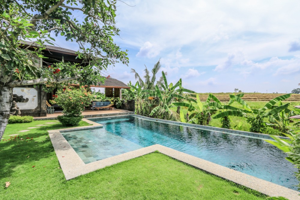 Villa For Sale in Bali