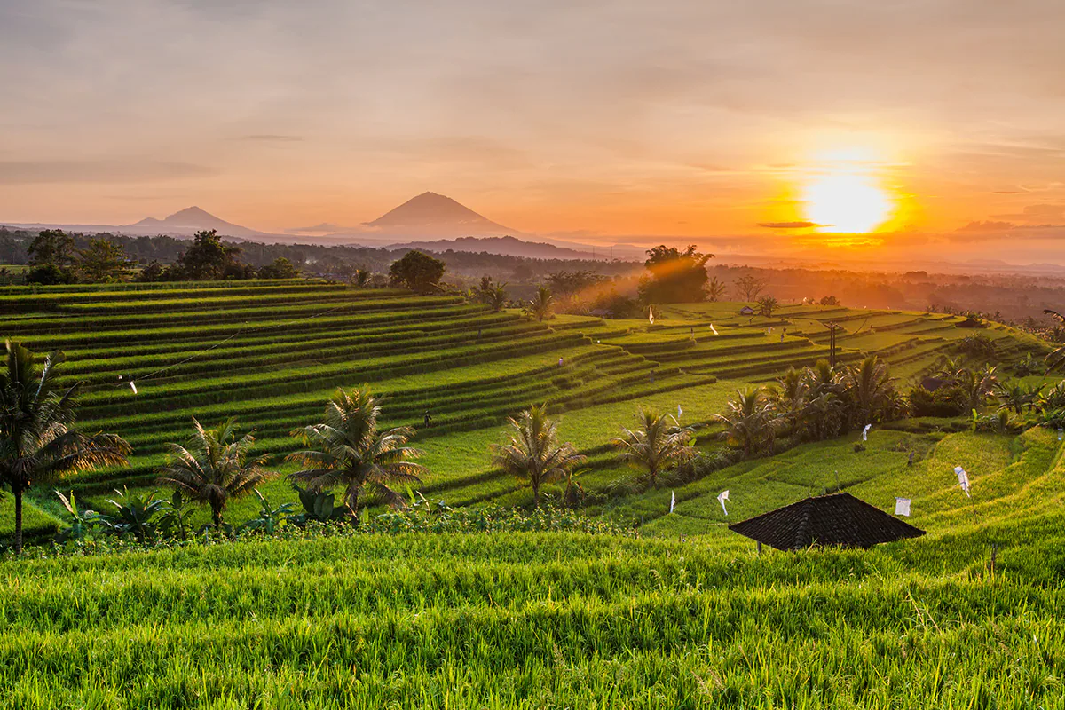 Ubud