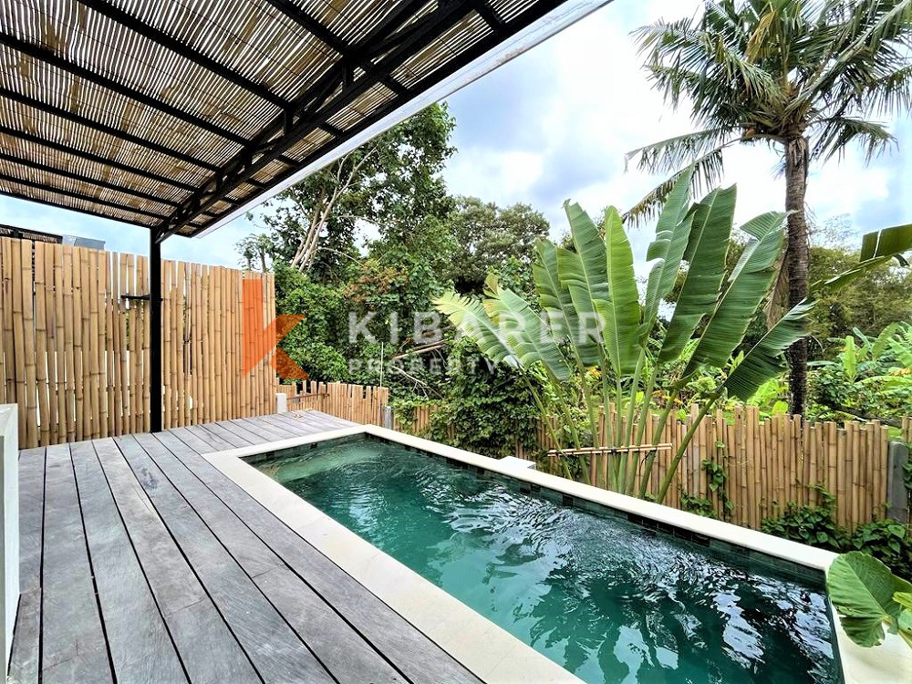 Brand New Tropical One Bedrooms Open Living Studio Situated In Pererenan (AVAILABLE 31ST JULY)