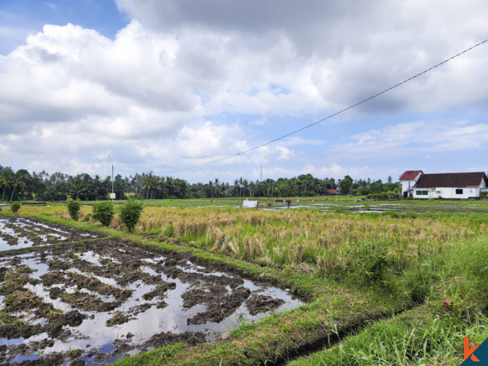 Sebidang tanah seluas 10 are yang bagus dengan pemandangan menakjubkan di Kedungu