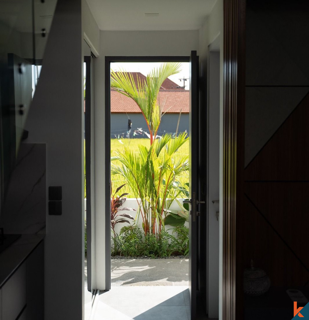 Modern Apartment For Sale in Canggu