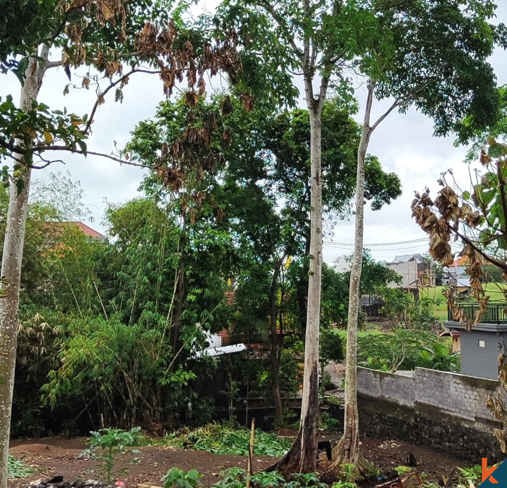 terrain à Canggu avec vue sur la rivière et les rizières à vendre