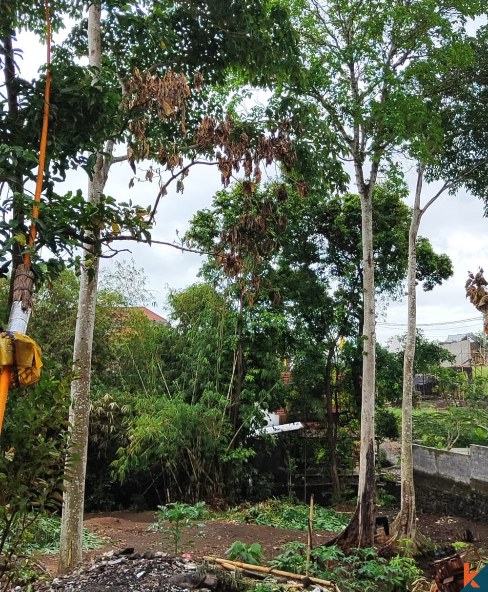 terrain à Canggu avec vue sur la rivière et les rizières à vendre