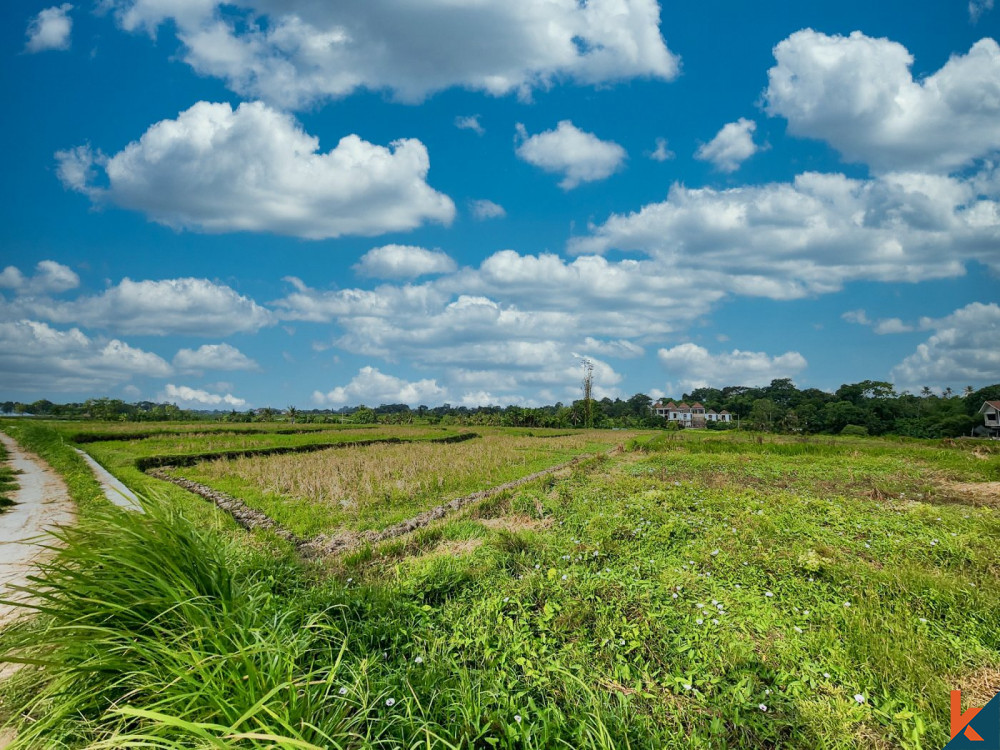 Bon terrain en pleine propriété à vendre à Kedungu