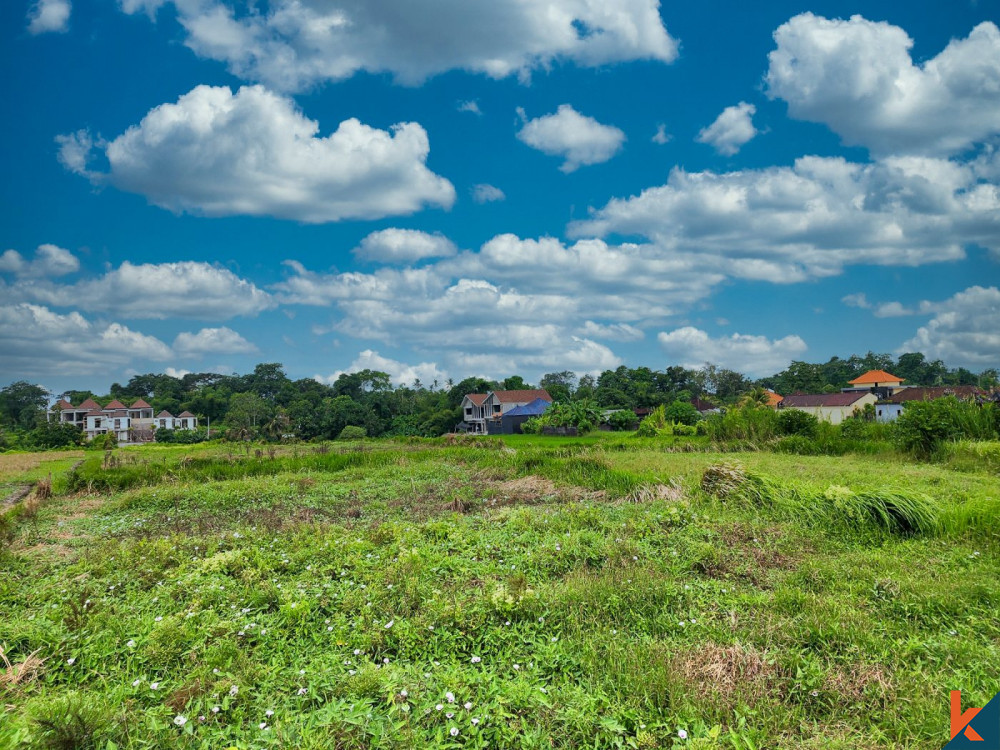 Bon terrain en pleine propriété à vendre à Kedungu