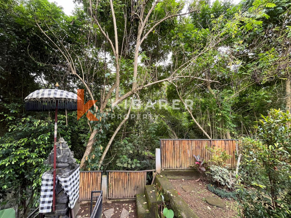 Jungle four bedrooms open living room villa in mengwi area