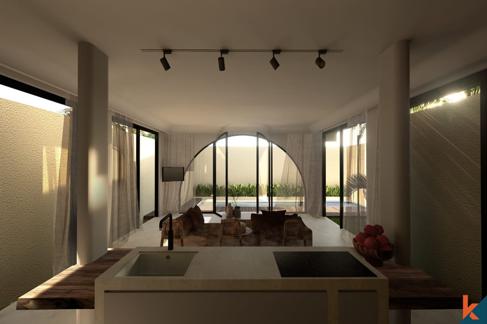 Brand new Luxurious 2 Bedroom Villa in Seminyak