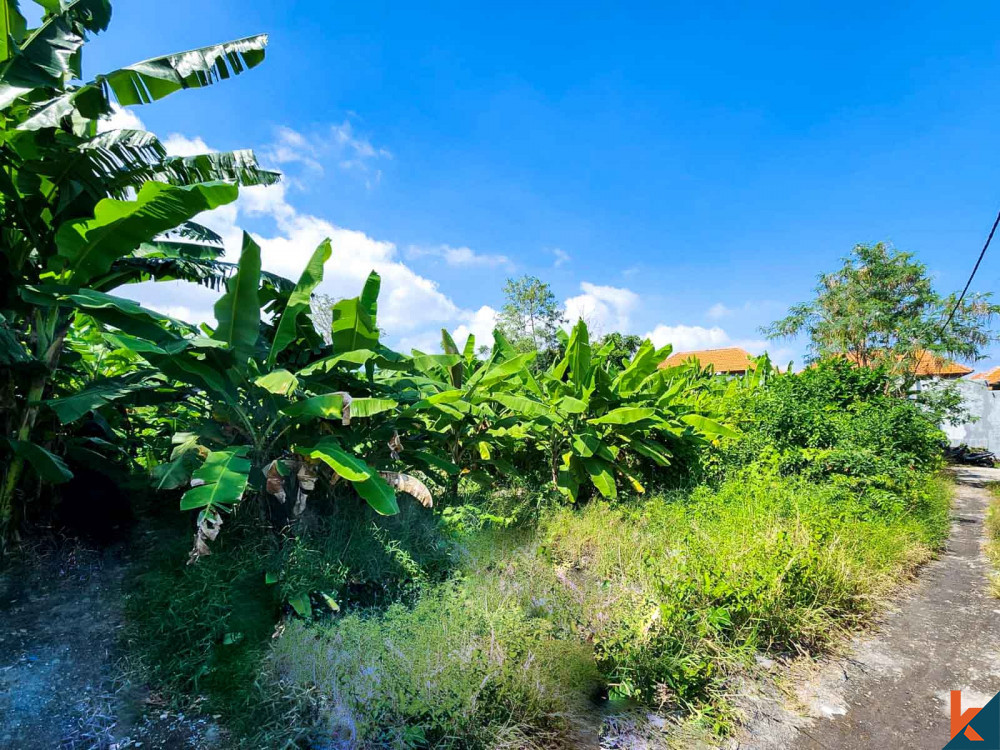 Rare freehold plot of land for sale in Seminyak