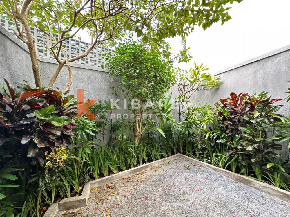 Charming Two Bedroom Open Living Villa in Canggu