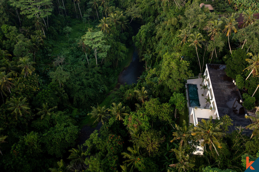 Villa isolée de 4 chambres avec vue imprenable sur la jungle