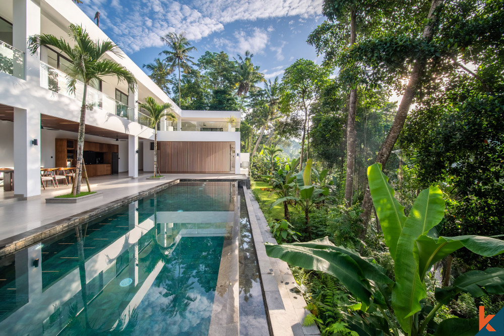 Villa isolée de 4 chambres avec vue imprenable sur la jungle