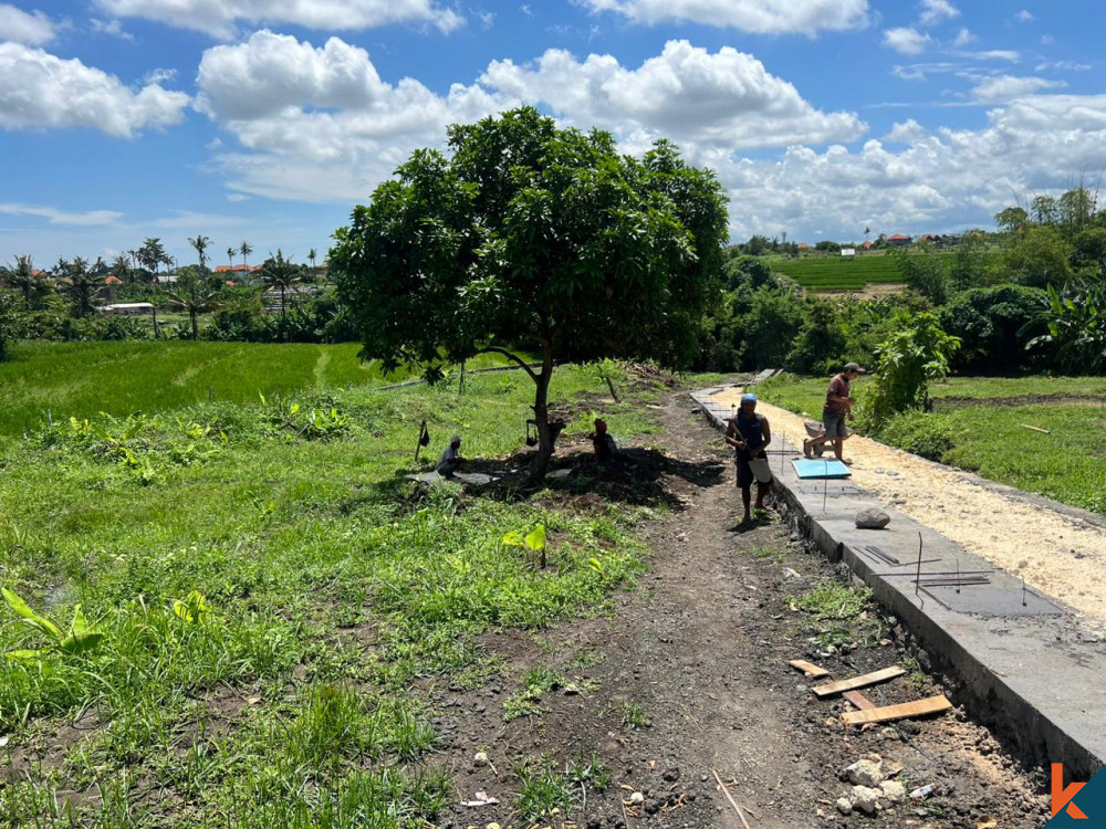 Rare Plot 6 Are Land with rice field view in Canggu