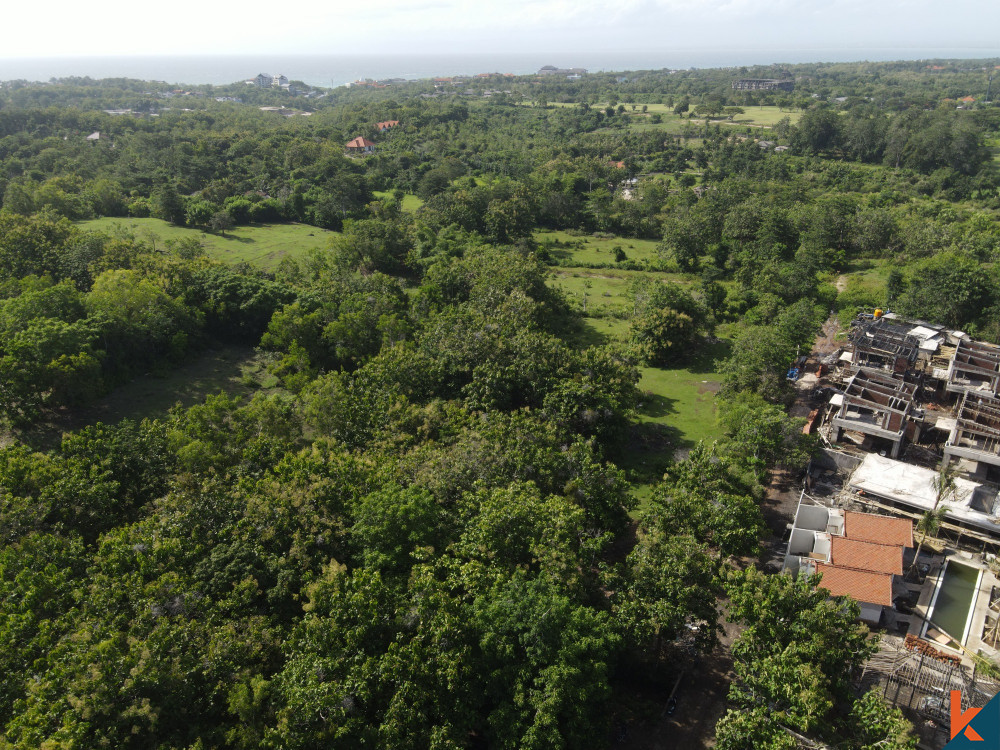 Prime Opportunity 10 Are Land in Pecatu