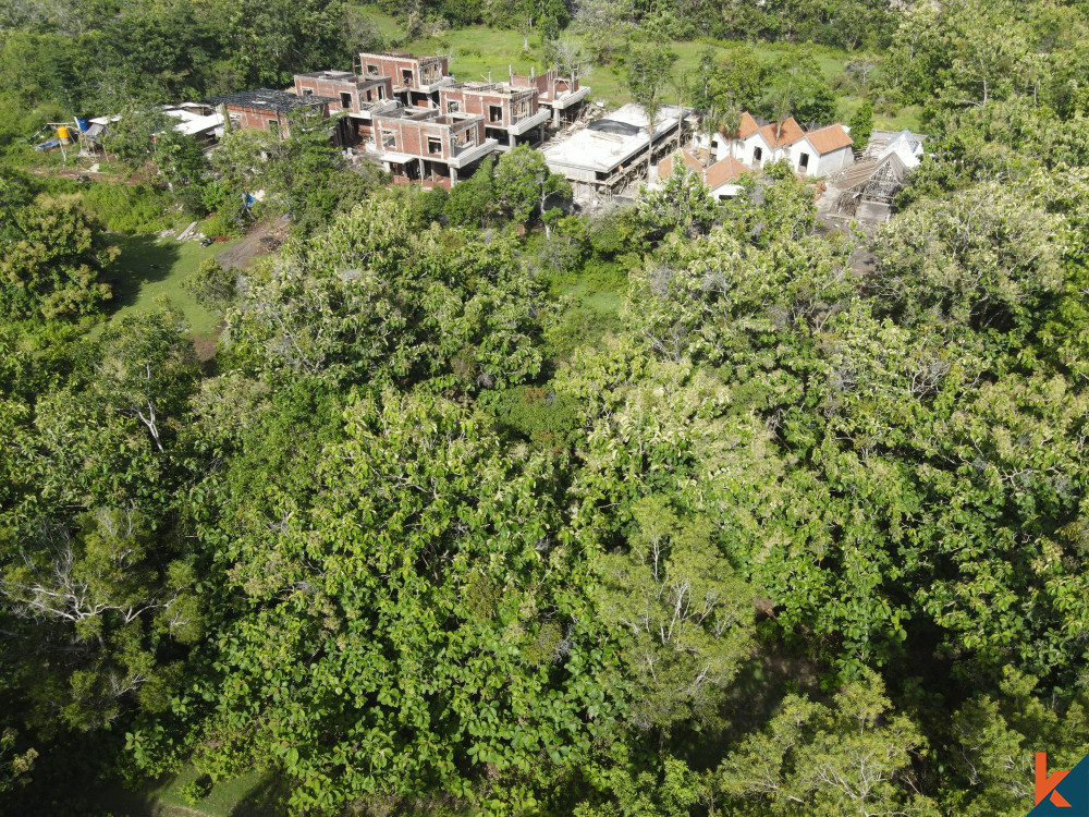 Prime Opportunity 10 Are Land in Pecatu