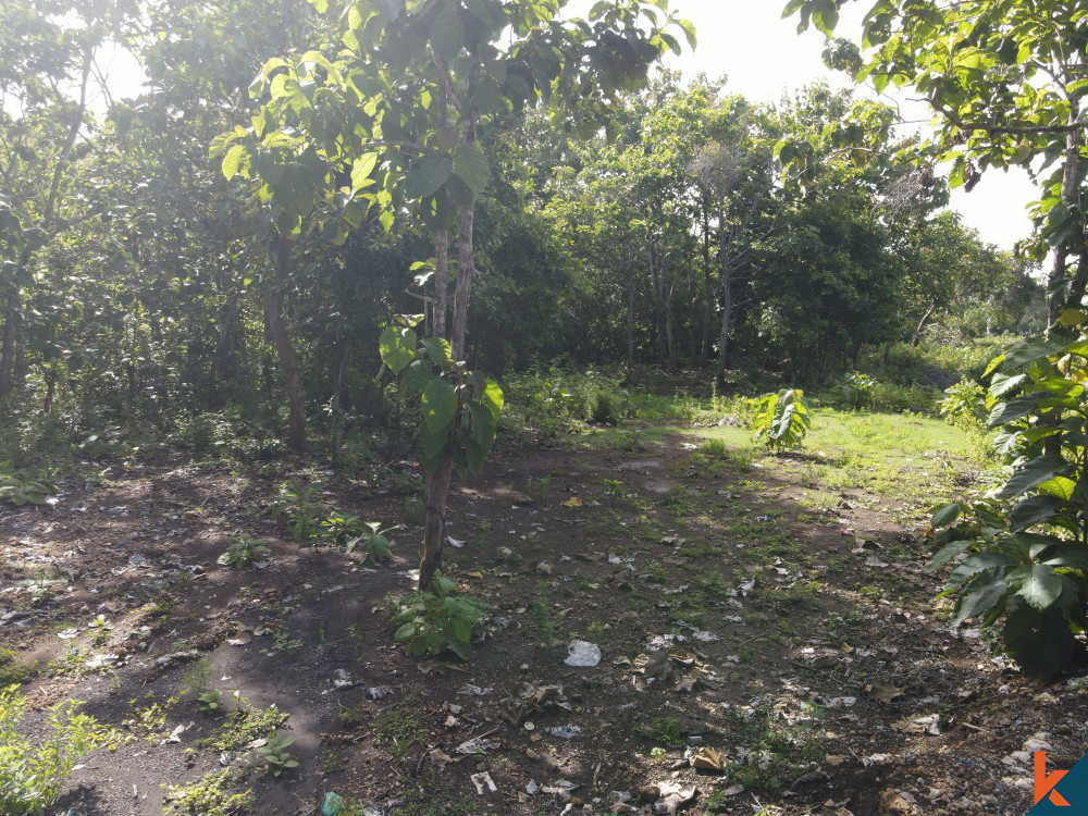 Prime Opportunity 10 Are Land in Pecatu