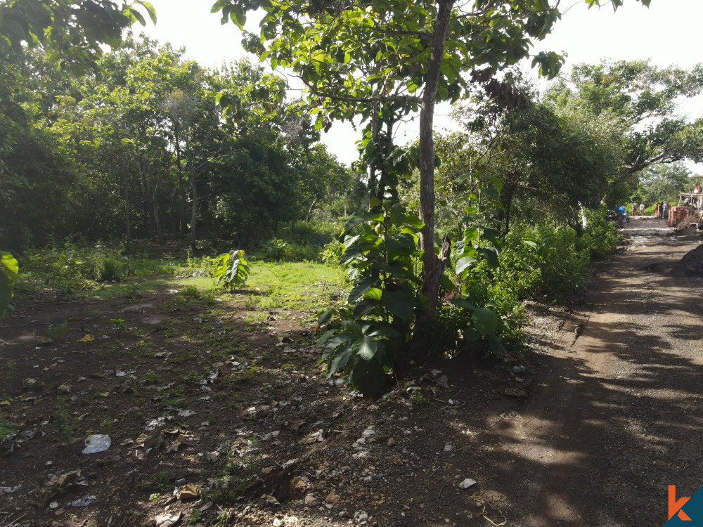 Prime Opportunity 10 Are Land in Pecatu