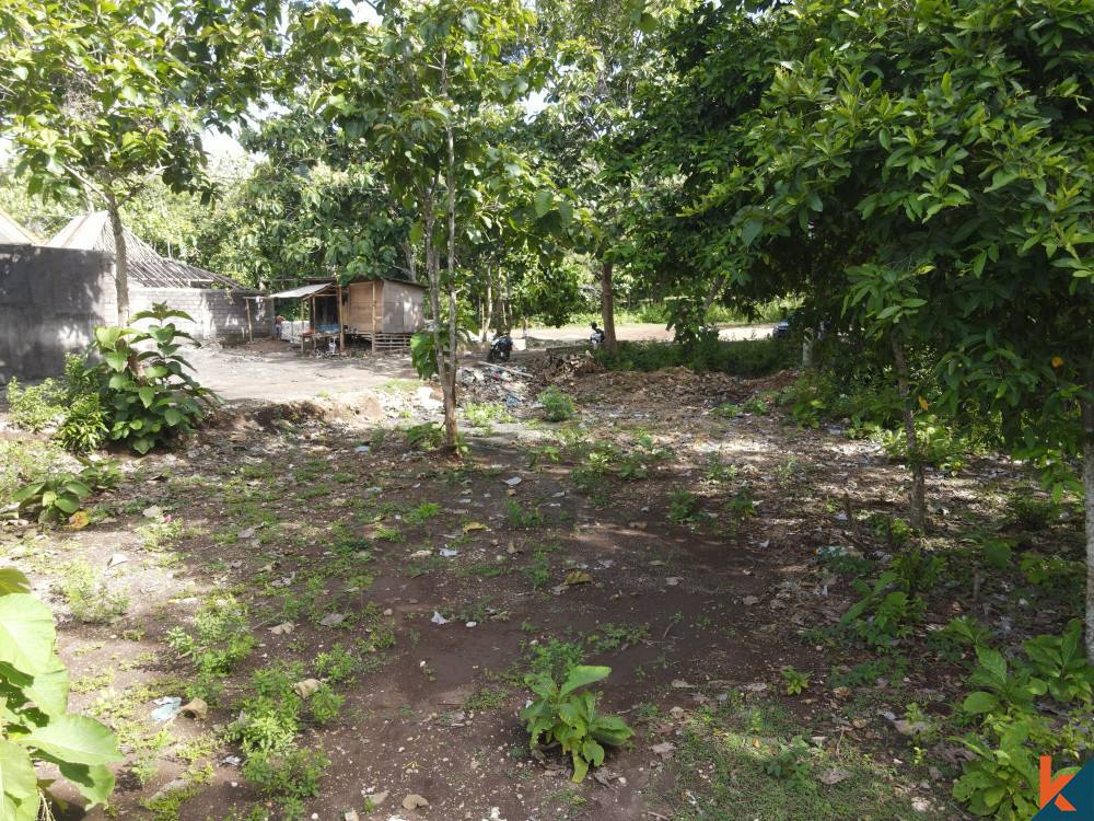 Prime Opportunity 10 Are Land in Pecatu