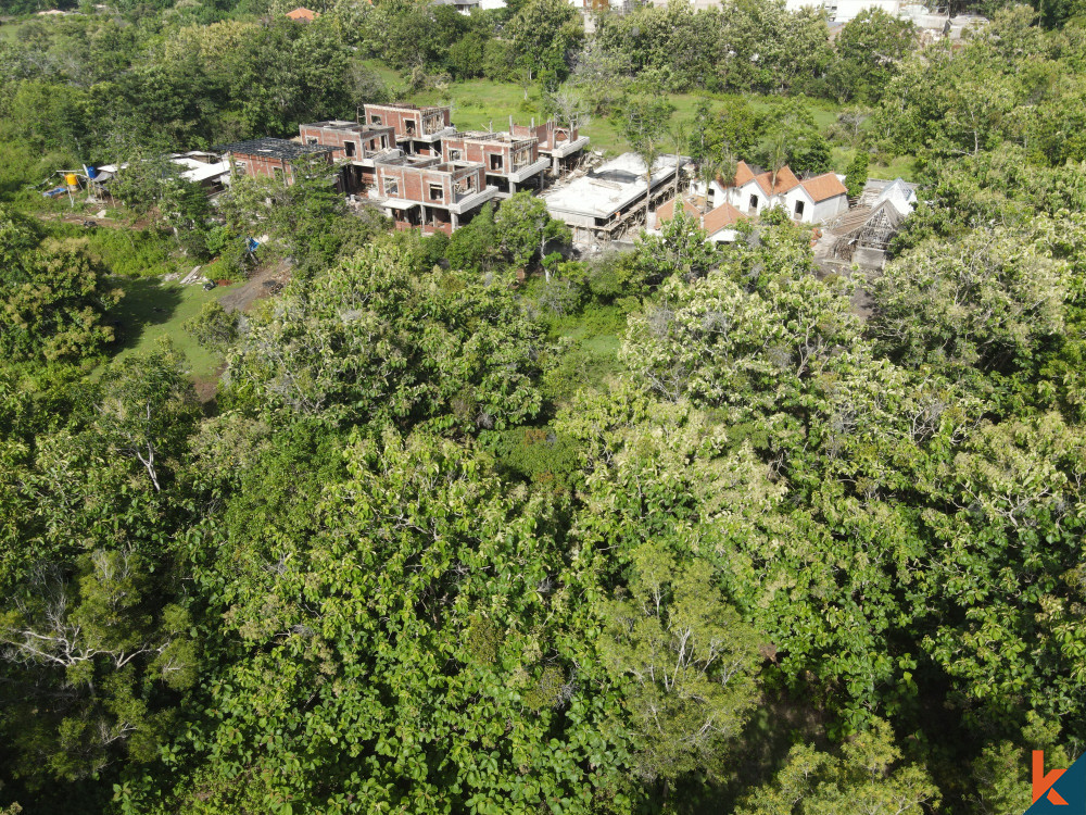 Peluang Utama Tanah 10 Are di Pecatu