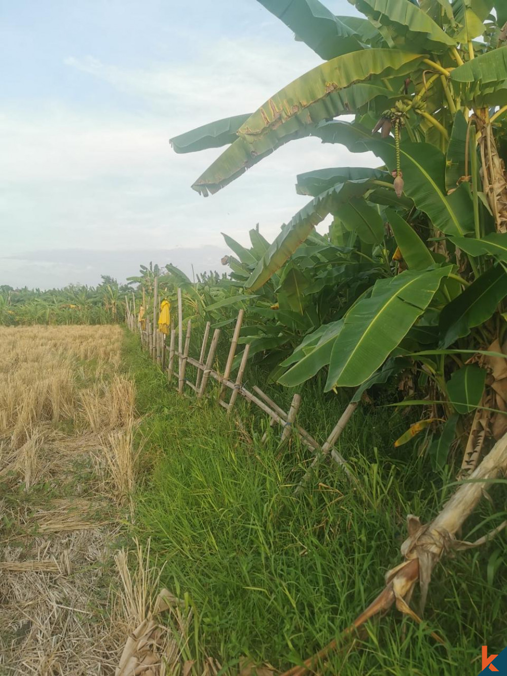 Peluang Langka 6.10 Are Tanah di Seminyak