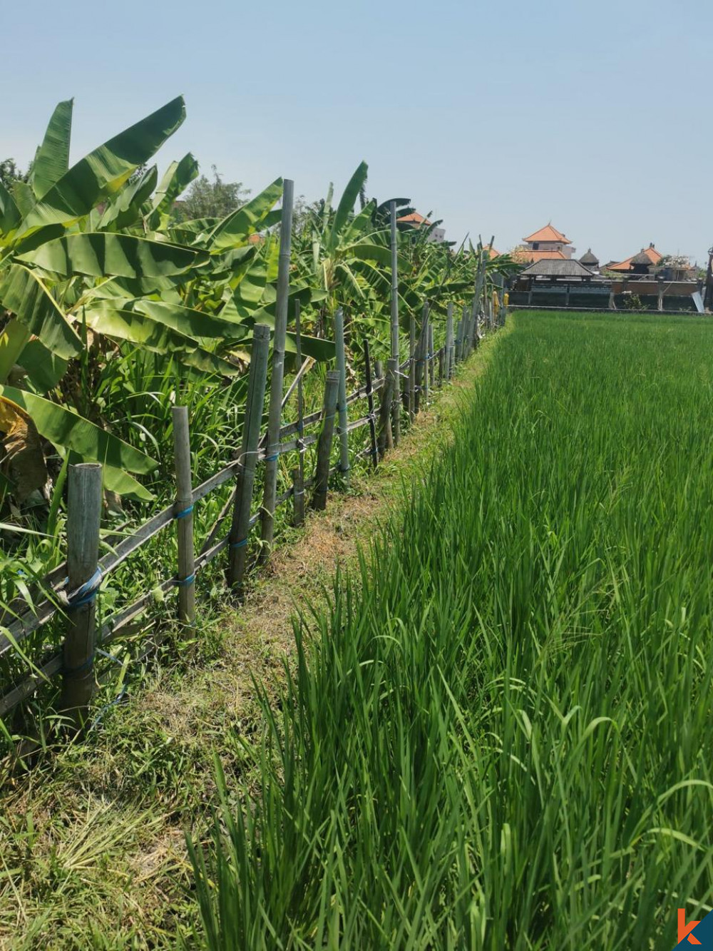 Peluang Langka 6.10 Are Tanah di Seminyak