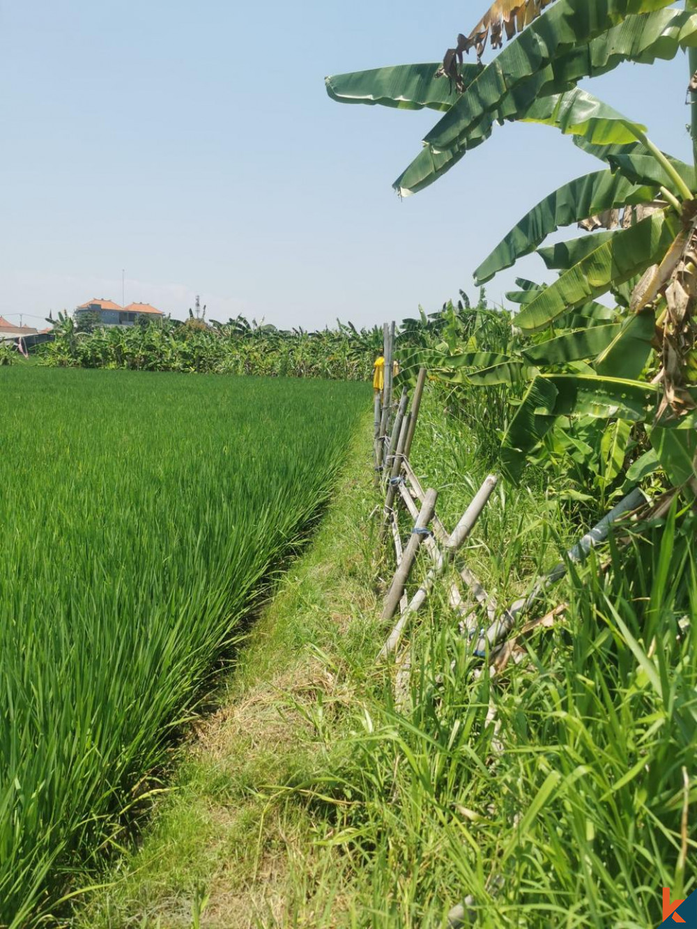 Peluang Langka 6.10 Are Tanah di Seminyak