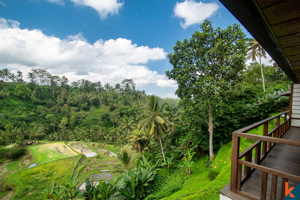 Properti hak milik yang menakjubkan dengan ROI untuk dijual di Ubud