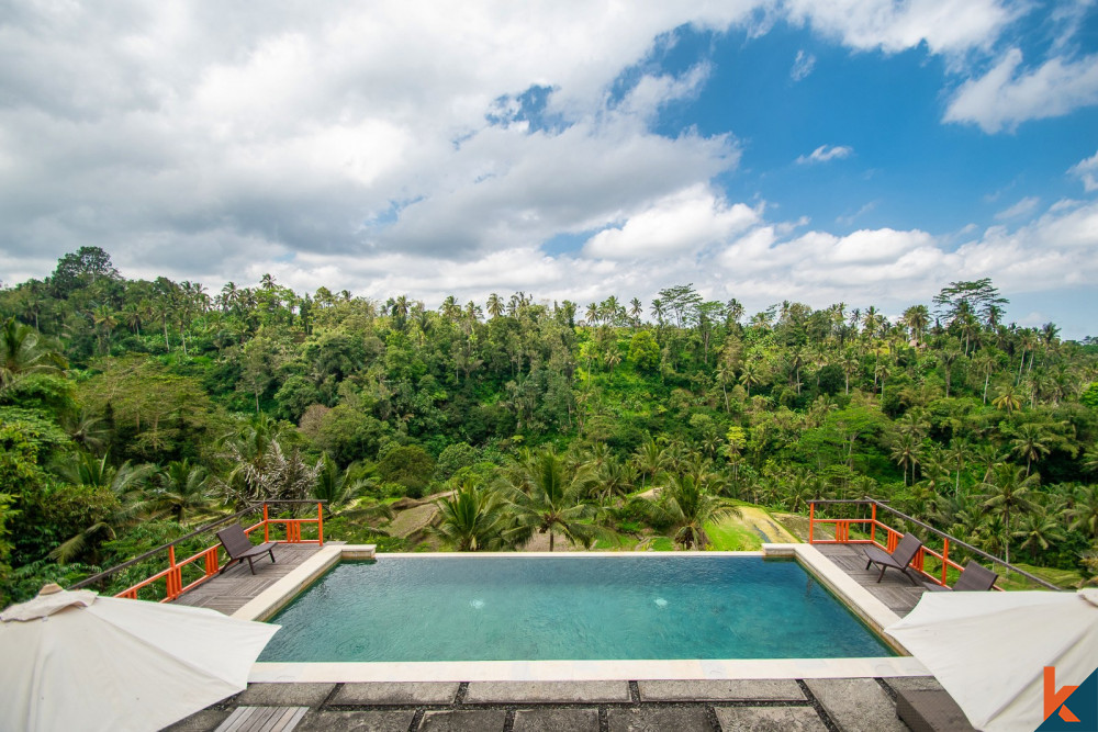 Superbe domaine en pleine propriété à vendre à Ubud