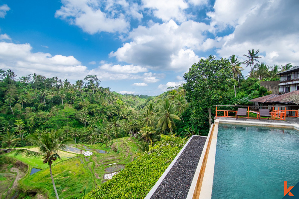 Amazing freehold ROI estate for sale in Ubud