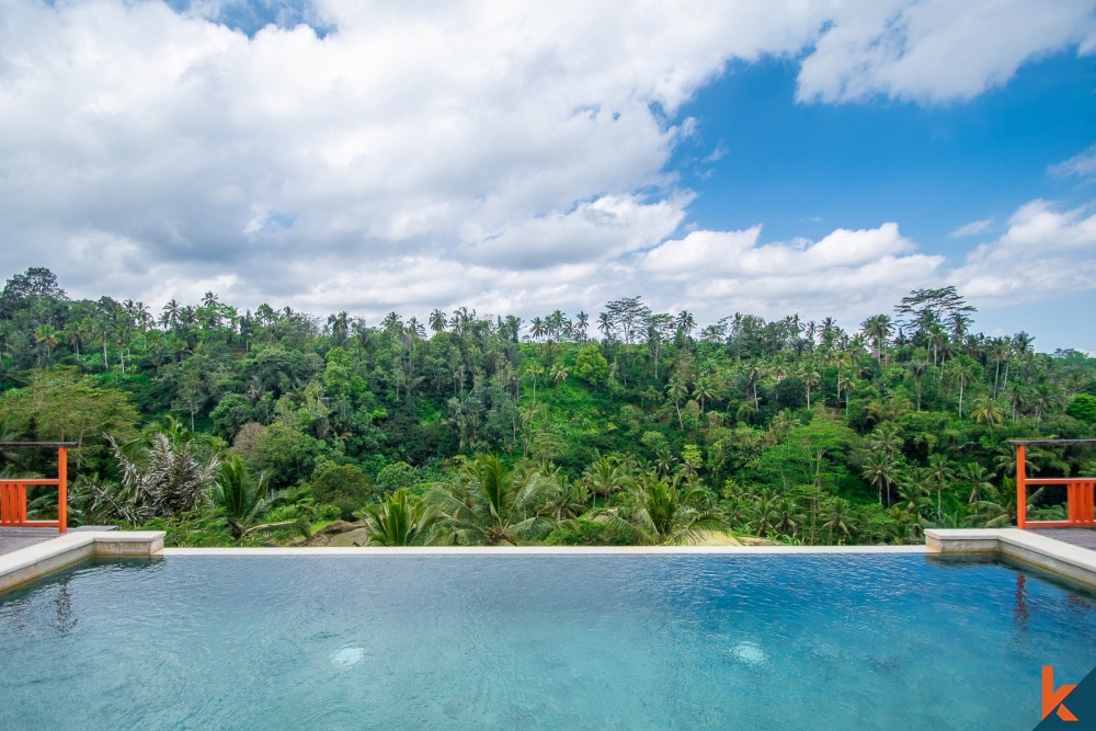 Properti hak milik yang menakjubkan dengan ROI untuk dijual di Ubud