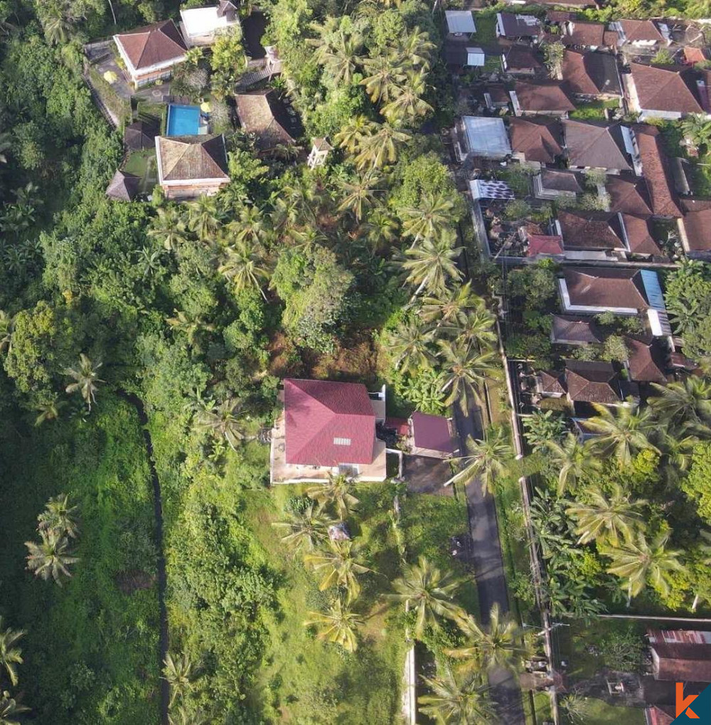 Nice Plot of 13 Are Land in Gianyar