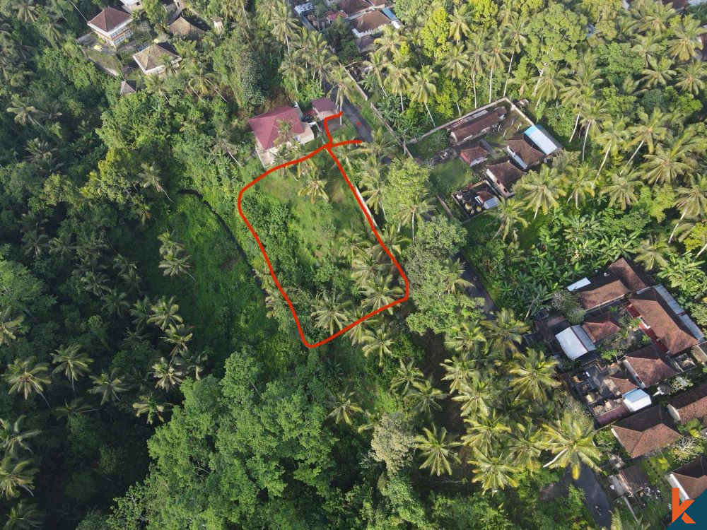 Nice Plot of 13 Are Land in Gianyar