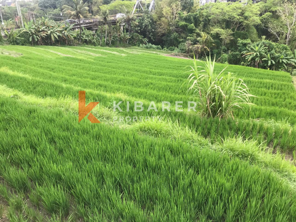 Villa Setengah Furnished dengan Pemandangan Sawah, Dua Kamar Tidur, dan Ruang Tertutup untuk Disewa di Nyanyi