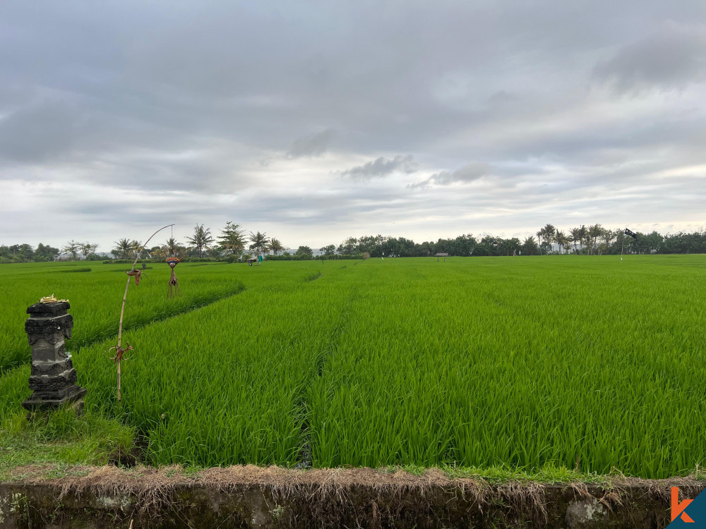 Tanah Tepi Pantai 130 Are di Medewi