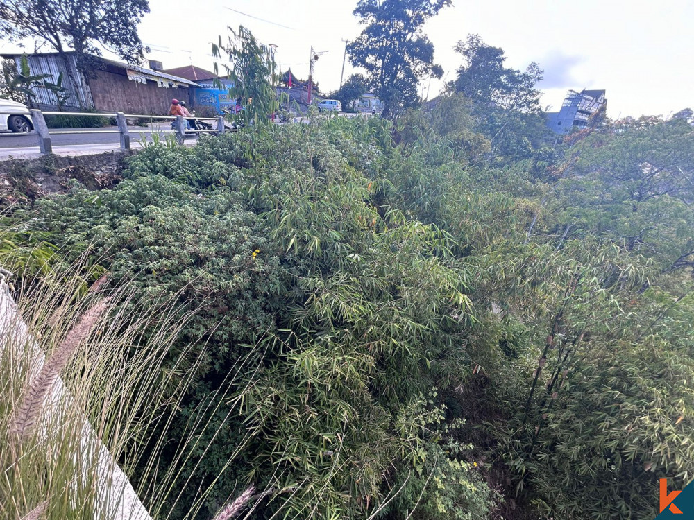 Grand terrain de 3,5 ares avec vue sur la montagne Batur