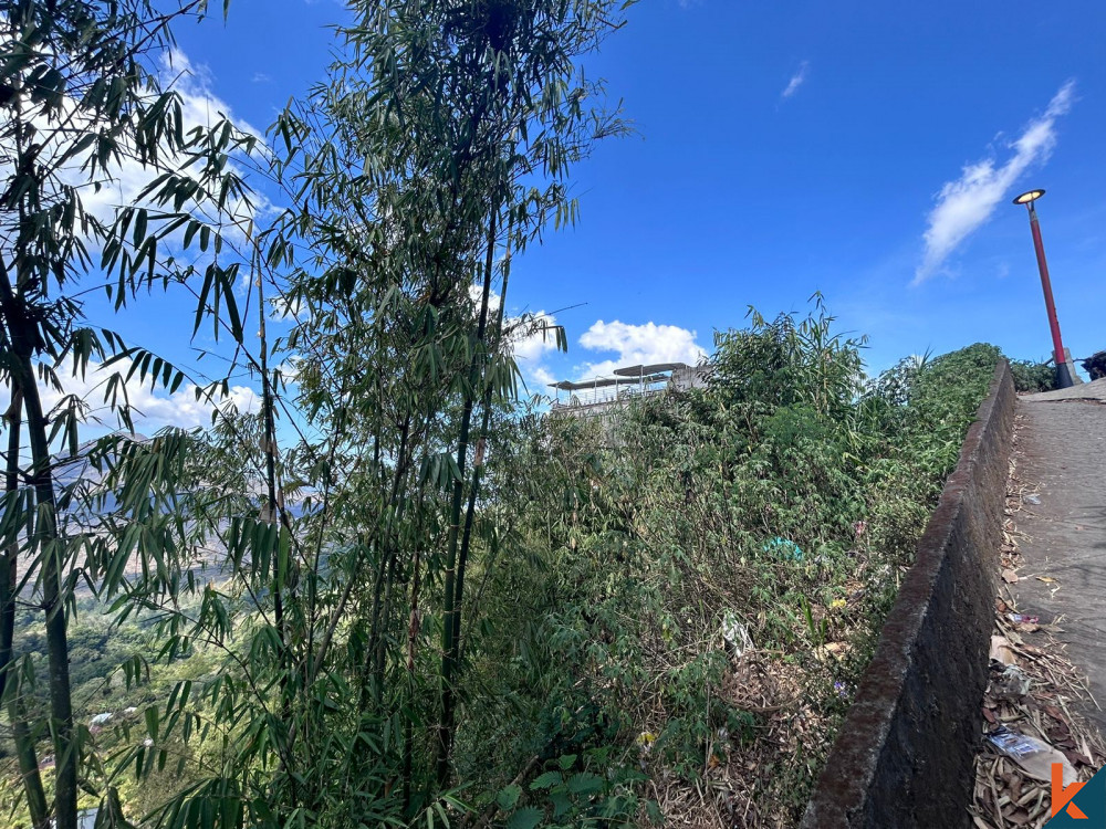 Tanah Luas 3,5 Are dengan View Gunung Batur