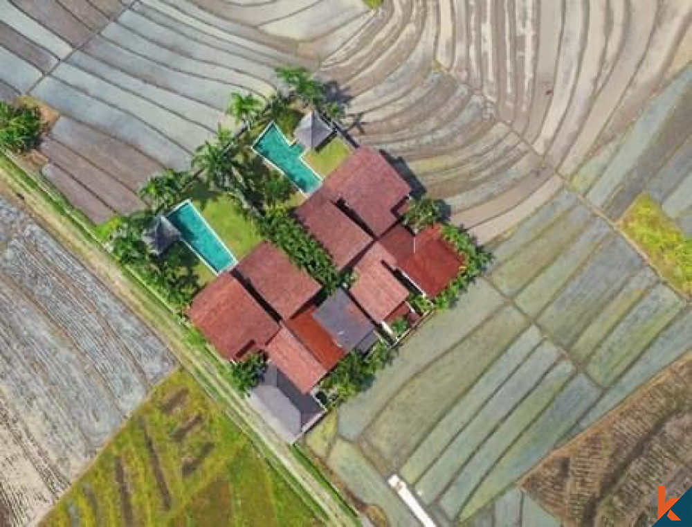 Luxury Rice Field Villas in Tabanan