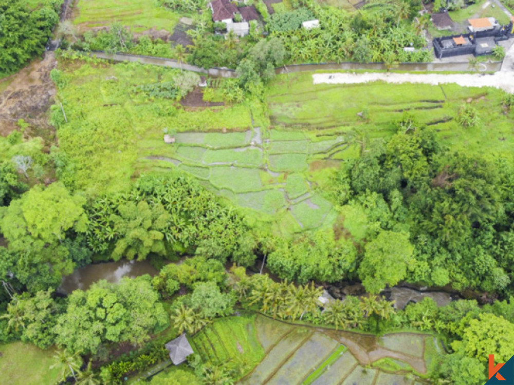 Terrain à bail de bonne opportunité avec projets disponibles à Cepaka