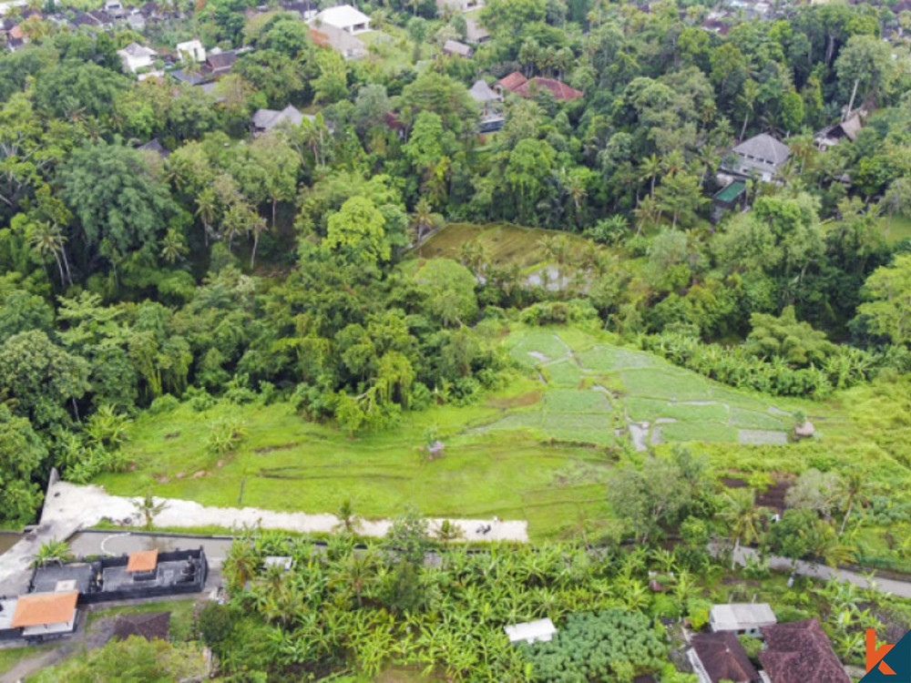 Luxurious Five Bedrooms Freehold Villa for Sale in Canggu