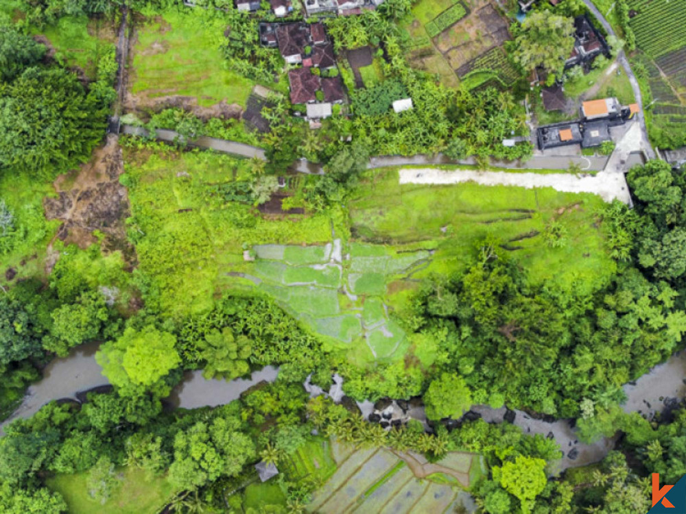 Good opportunity leasehold land with available projects in Cepaka