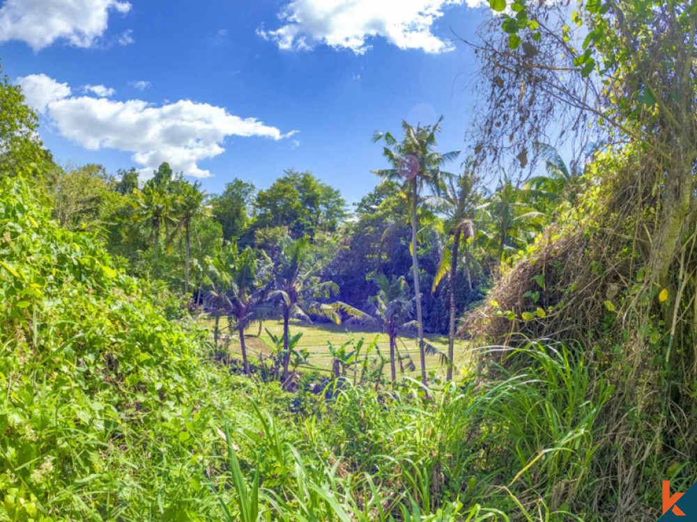 Investment opportunity plot land with projects for lease in Cepaka