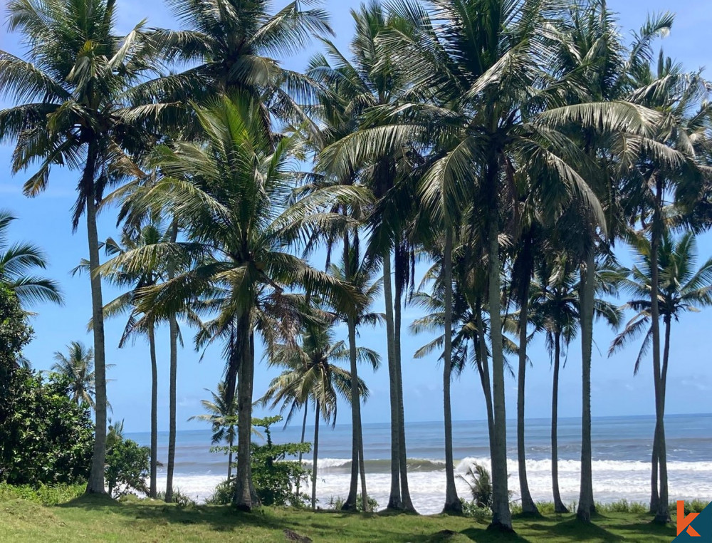 Dijual tanah hak milik di tepi pantai di Tabanan