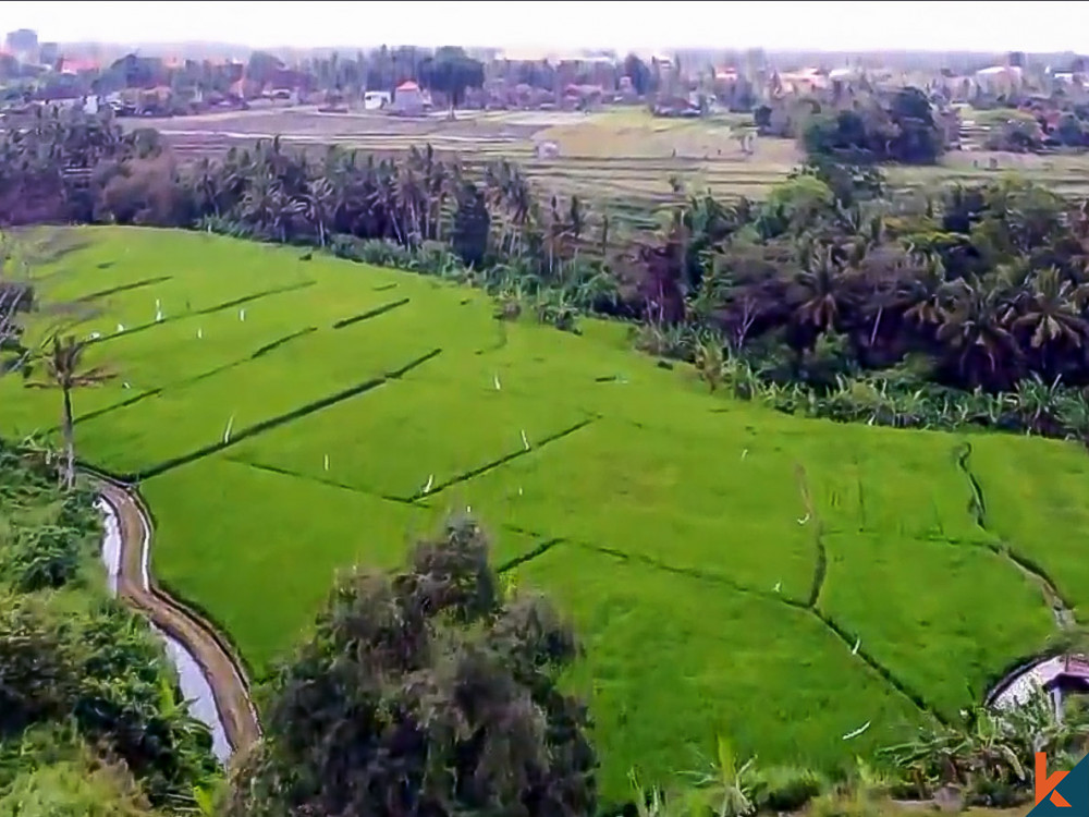 Terrain d'investissement énorme de 146 ares à vendre à Ubud