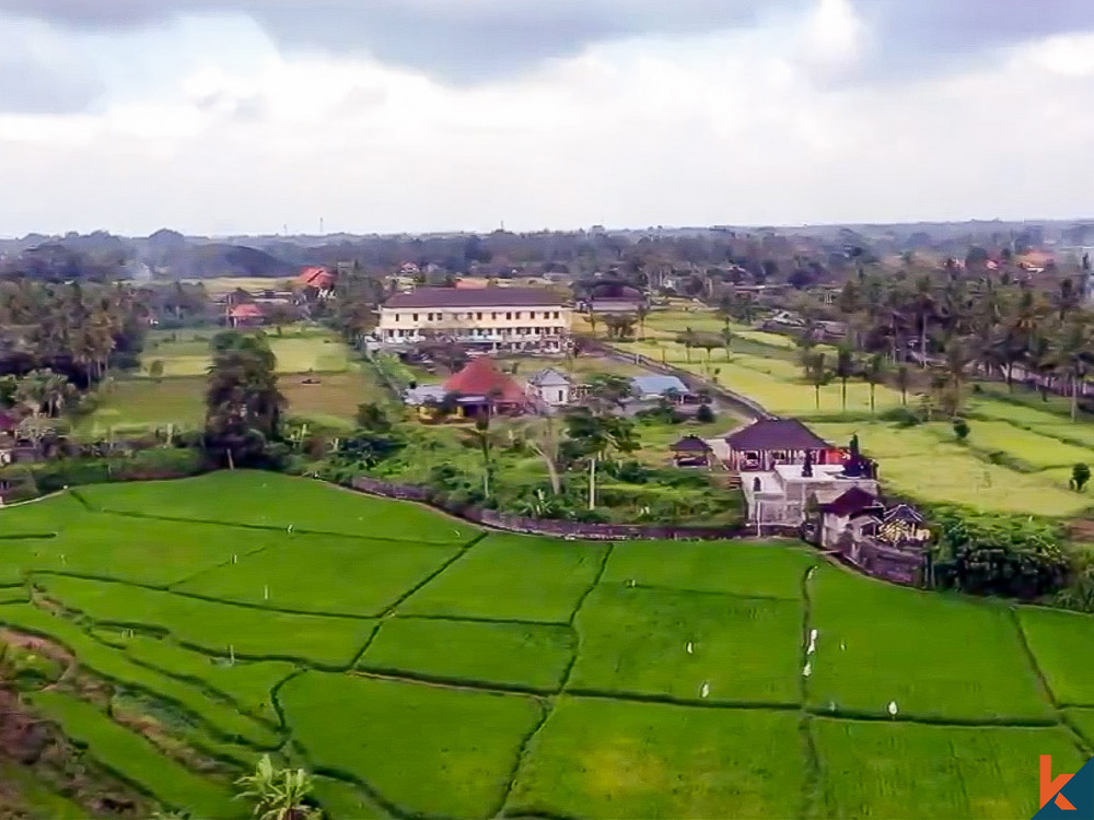 Terrain d'investissement énorme de 146 ares à vendre à Ubud