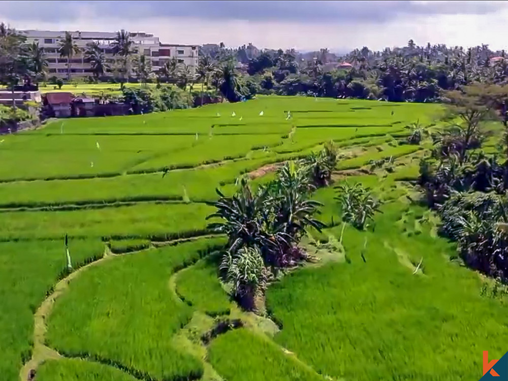 Terrain d'investissement énorme de 146 ares à vendre à Ubud