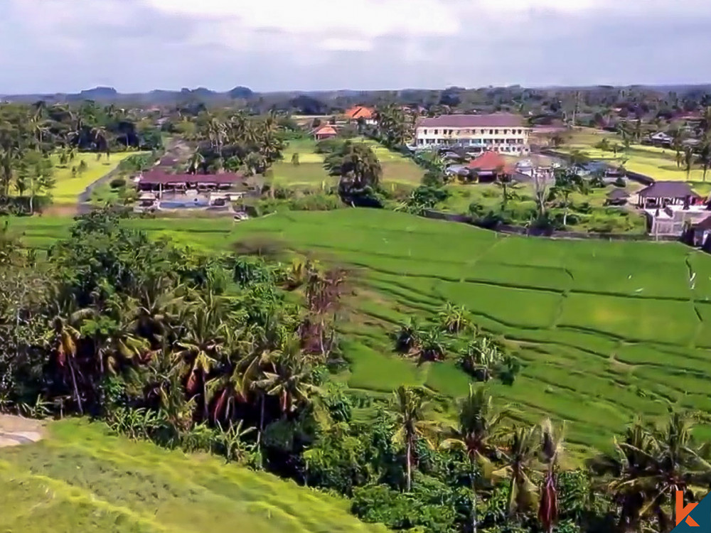 Terrain d'investissement énorme de 146 ares à vendre à Ubud