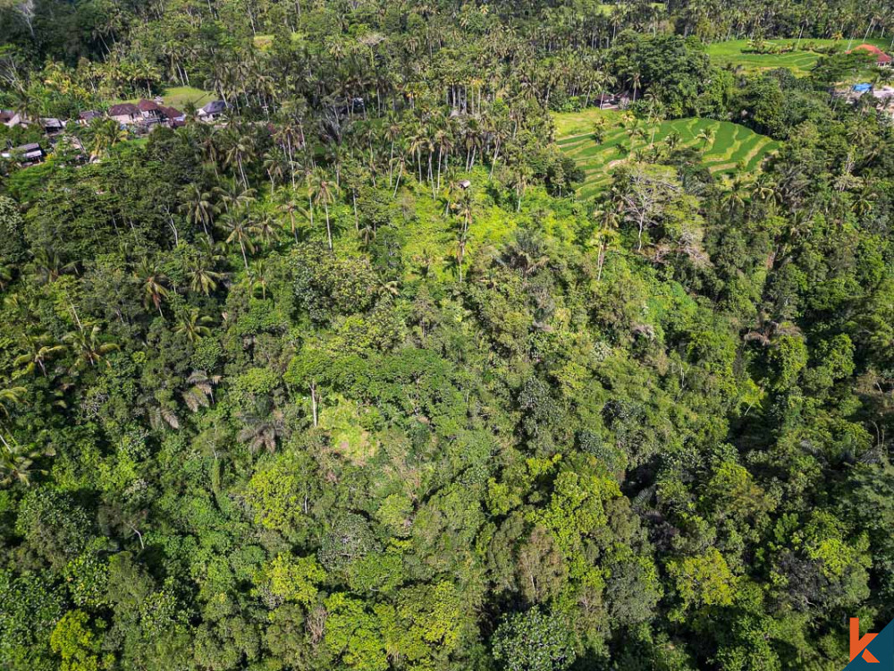 Investasi ideal dengan pemandangan hutan di sebidang tanah hak guna usaha di Ubud