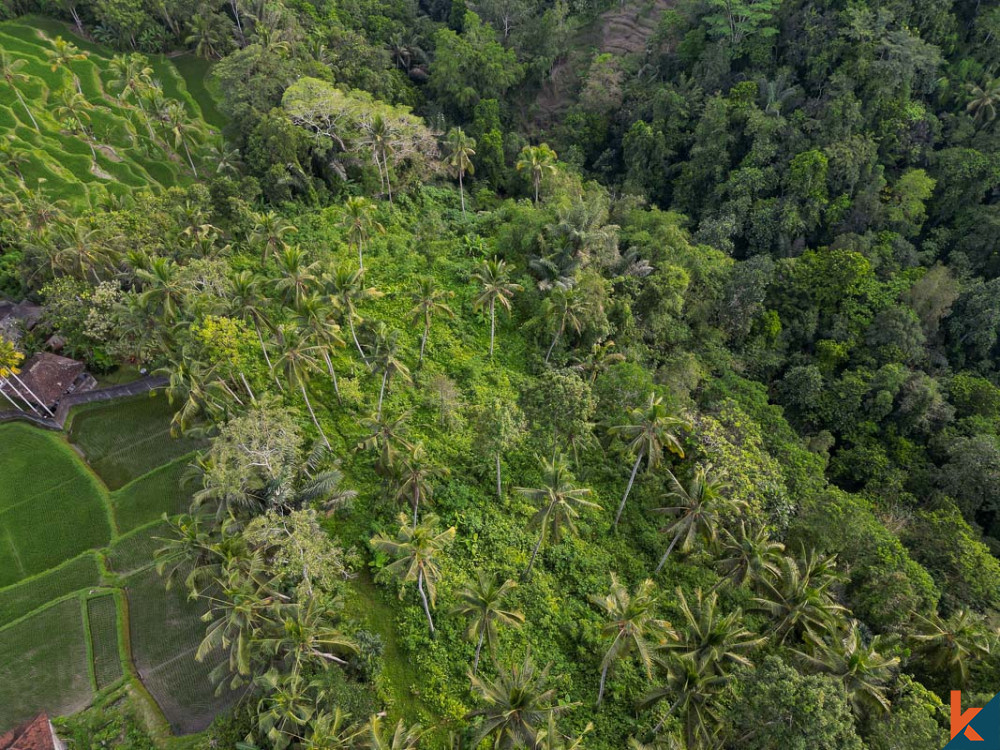 Investasi ideal dengan pemandangan hutan di sebidang tanah hak guna usaha di Ubud