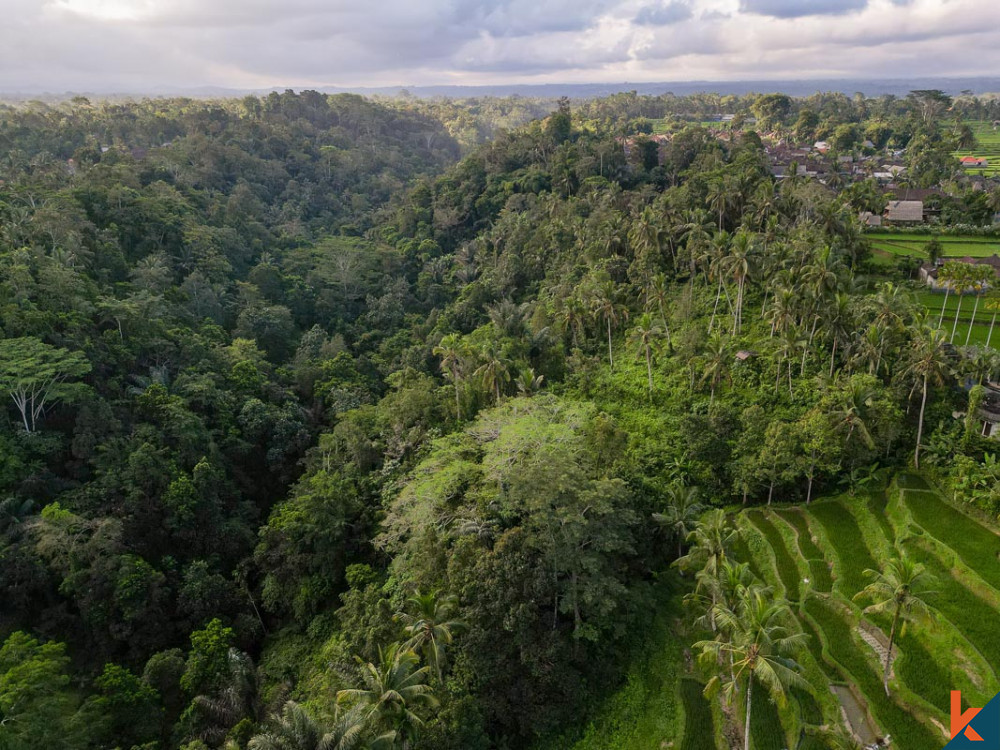 Investasi ideal dengan pemandangan hutan di sebidang tanah hak guna usaha di Ubud