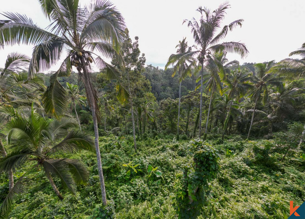 Investasi ideal dengan pemandangan hutan di sebidang tanah hak guna usaha di Ubud