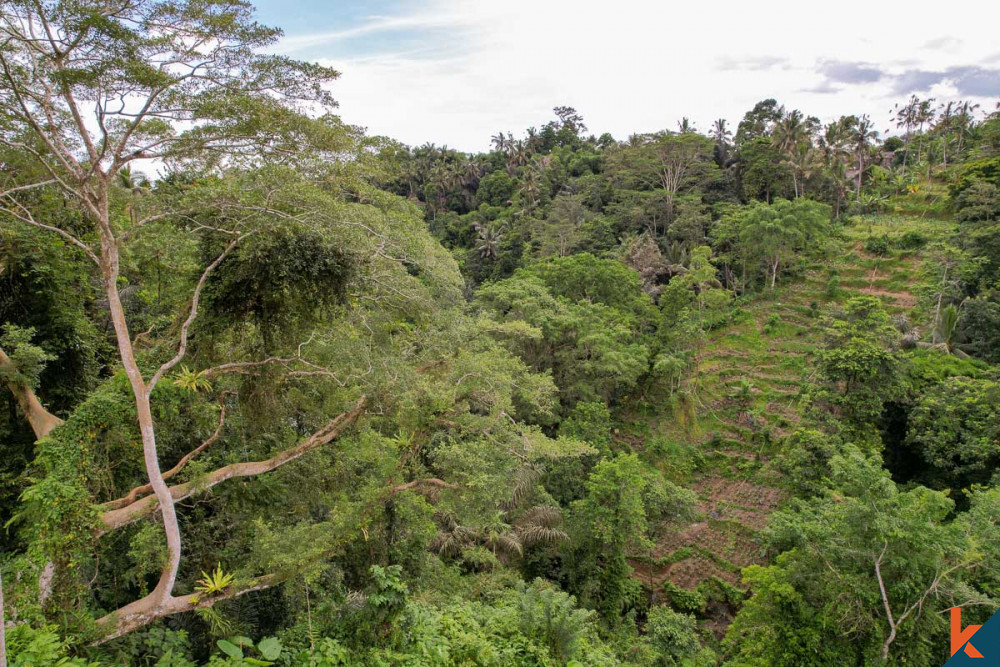 Investasi ideal dengan pemandangan hutan di sebidang tanah hak guna usaha di Ubud